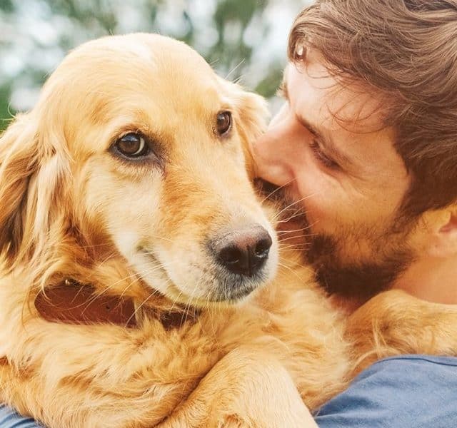 Guy and his dog, golden retriever, nature