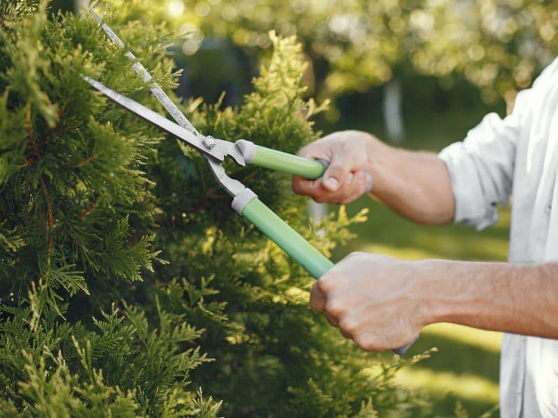 Content pruning: o que é e qual é a sua importância?