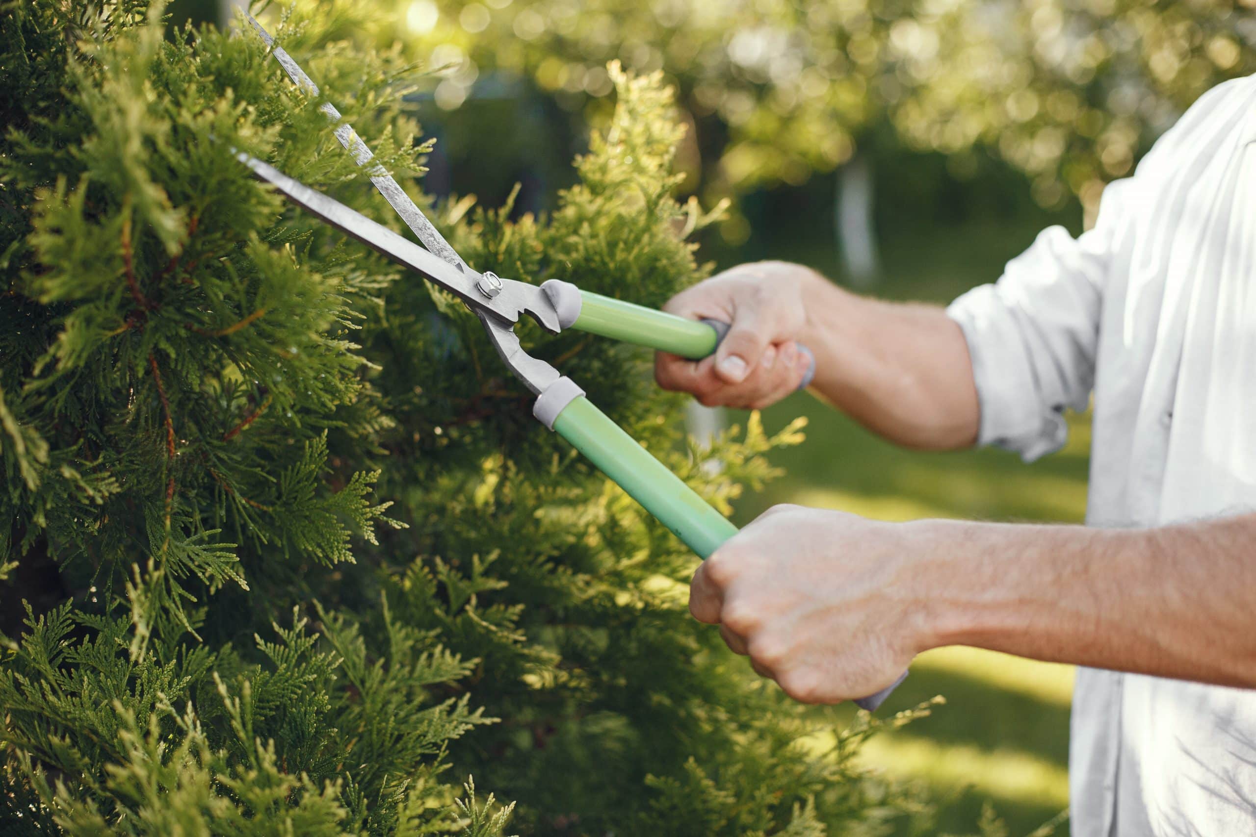 Content pruning: o que é e qual é a sua importância?